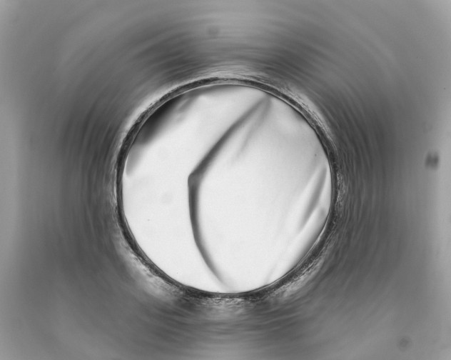 X0000091560939200709141533