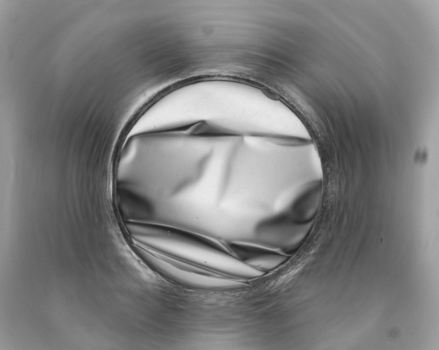 X0000091560940200709141533