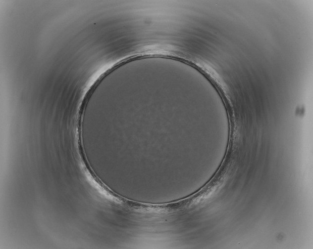 X0000091560941200709141533