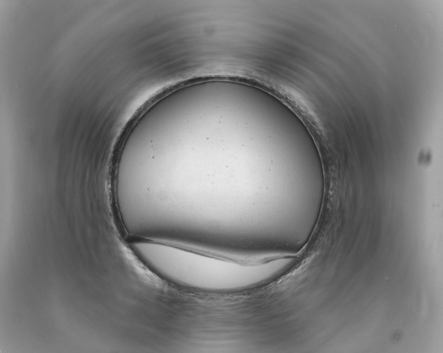 X0000091560942200709141533