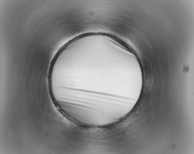 X0000091560943200709141533