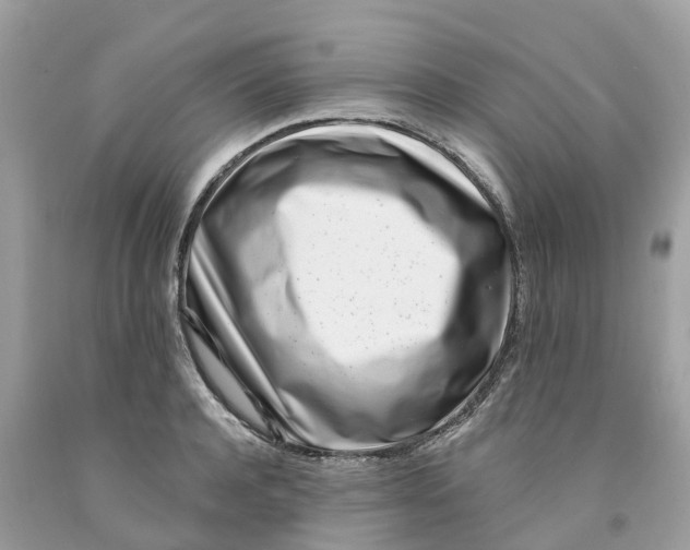 X0000091560944200709141533