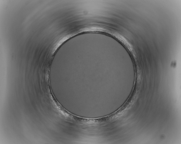 X0000091560945200709141533