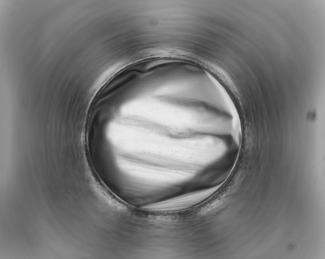 X0000091560946200709141533