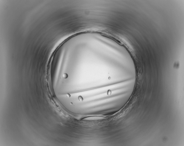 X0000091560948200709141533