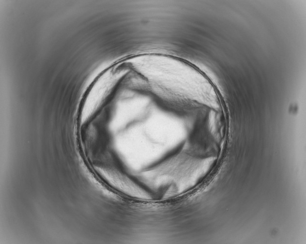 X0000091560949200709141533