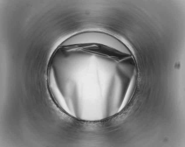 X0000091560951200709141533