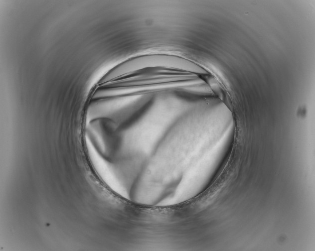 X0000091560952200709141533