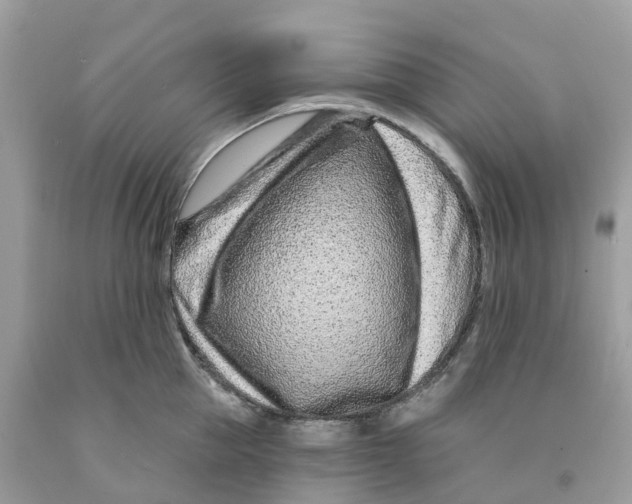 X0000091560953200709141533