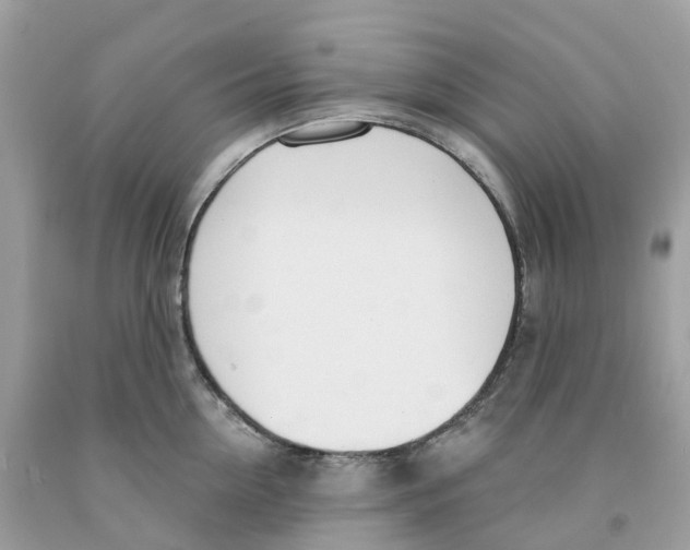 X0000091560954200709141533