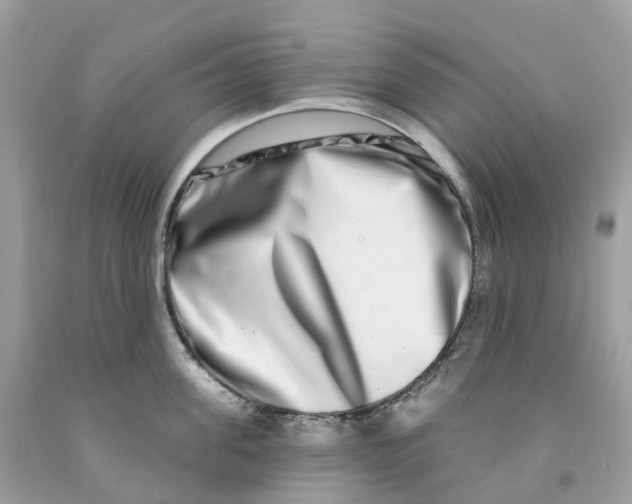 X0000091560955200709141533