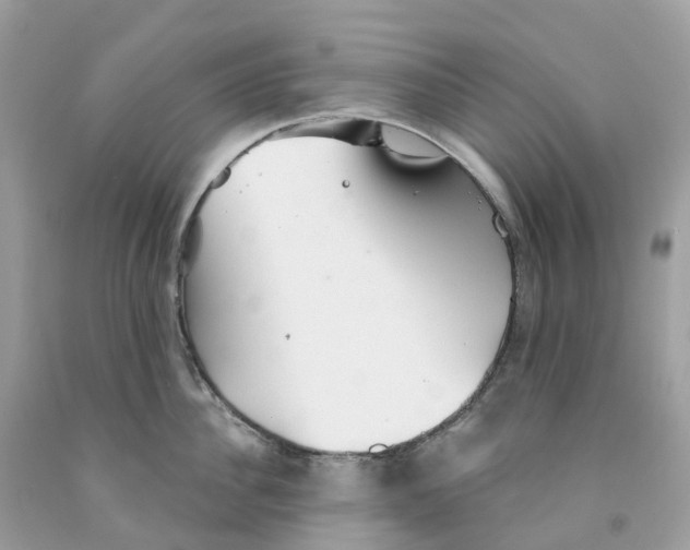 X0000091560956200709141533