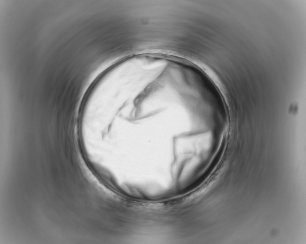 X0000091560957200709141533