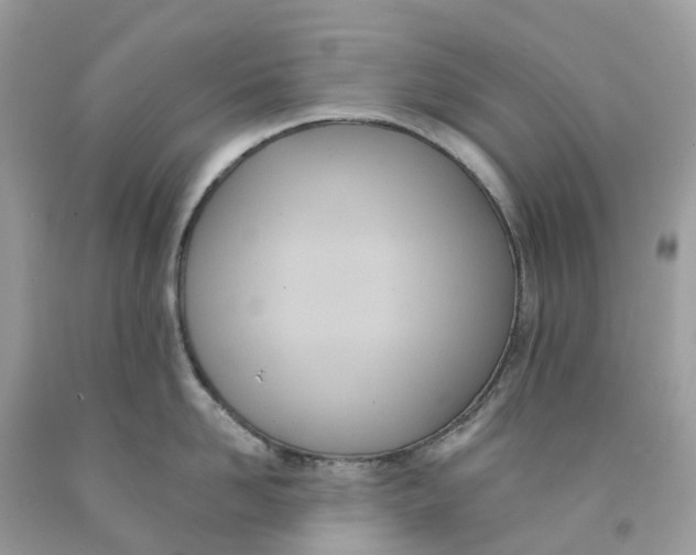 X0000091560958200709141533