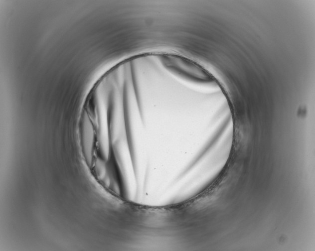 X0000091560959200709141533