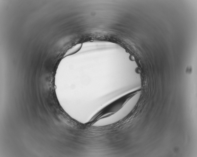 X0000091560964200709141532