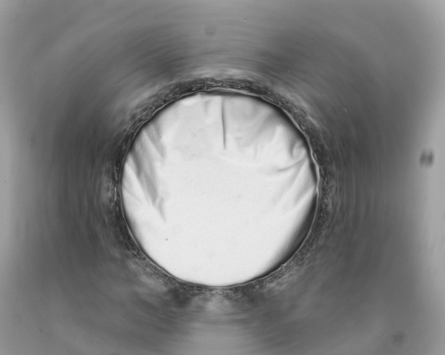 X0000091560966200709141532