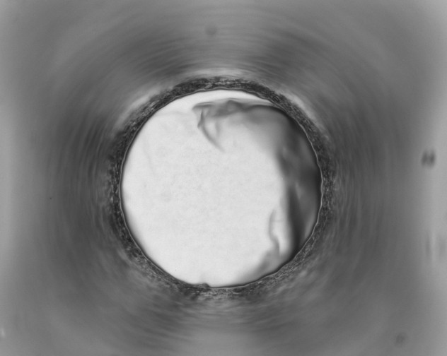 X0000091560967200709141532