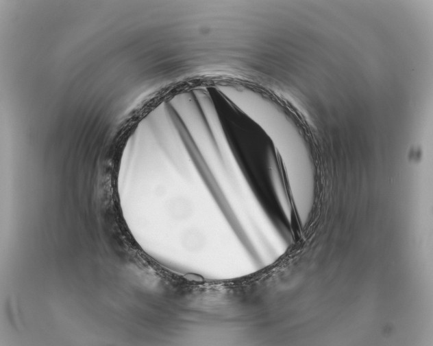 X0000091560968200709141532