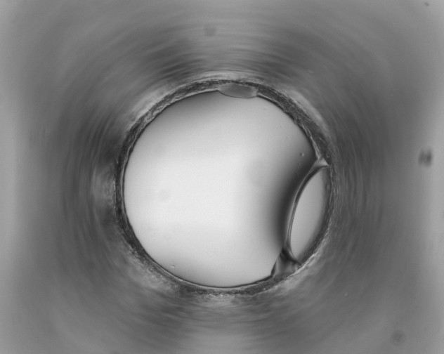 X0000091560969200709141532