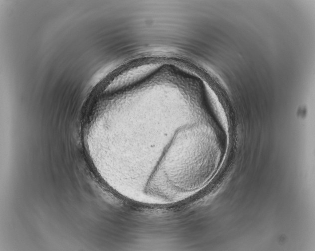 X0000091560970200709141532