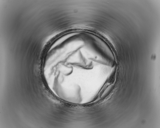 X0000091560971200709141532