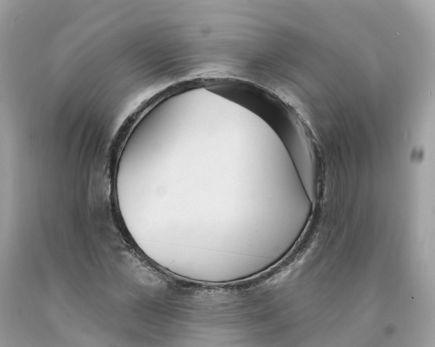 X0000091560973200709141532