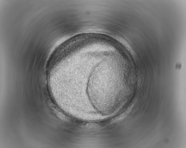 X0000091560974200709141532