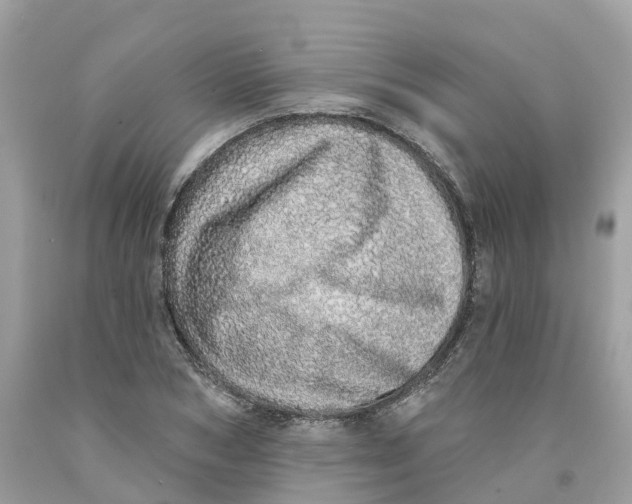 X0000091560978200709141532