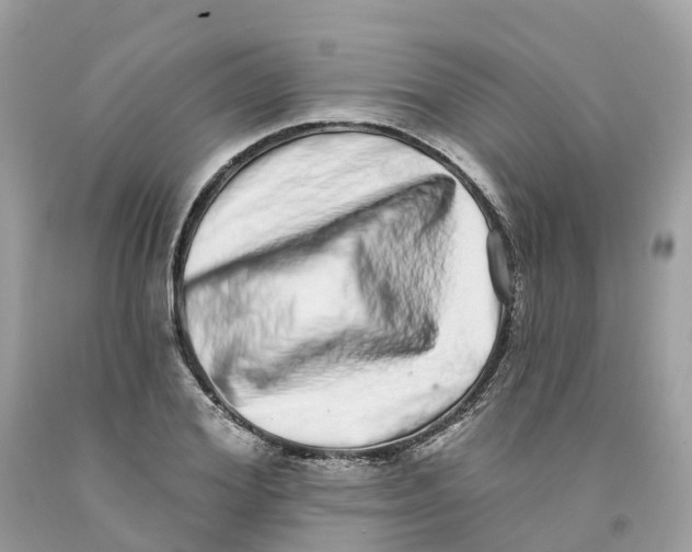 X0000091560980200709141532