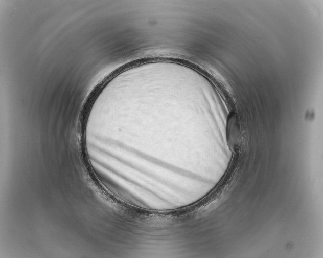 X0000091560981200709141532