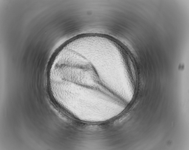 X0000091560982200709141532