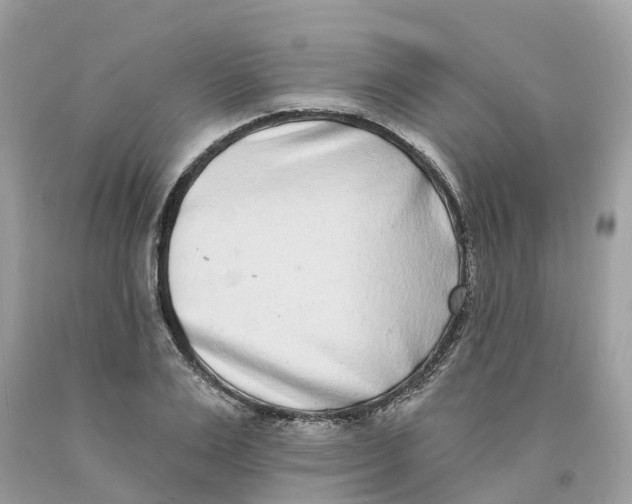 X0000091560983200709141532