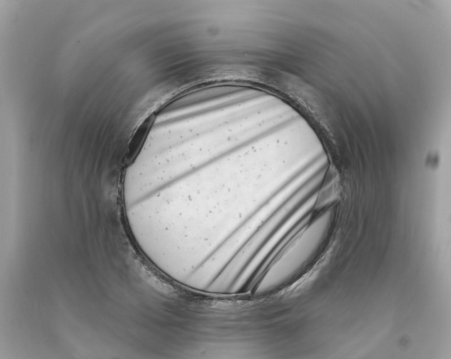 X0000091560985200709141532