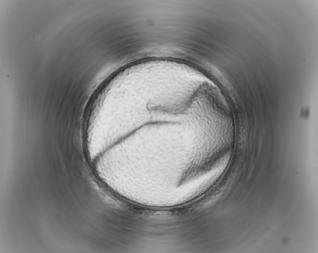 X0000091560986200709141532