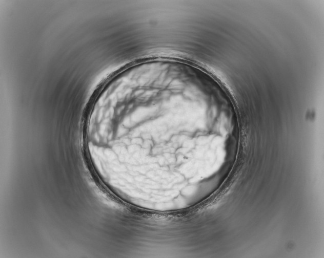 X0000091560987200709141532