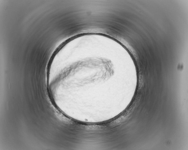 X0000091560988200709141532