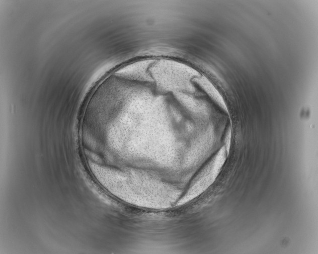 X0000091560990200709141532