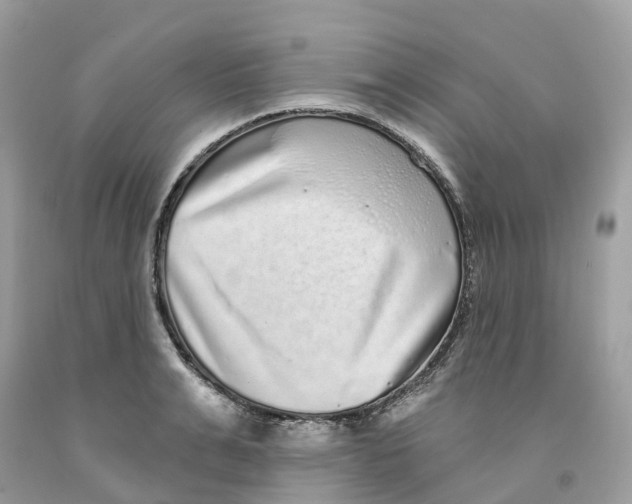 X0000091560991200709141532