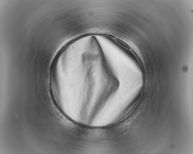 X0000091560992200709141532