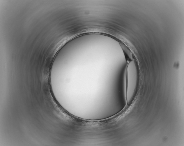 X0000091560993200709141532