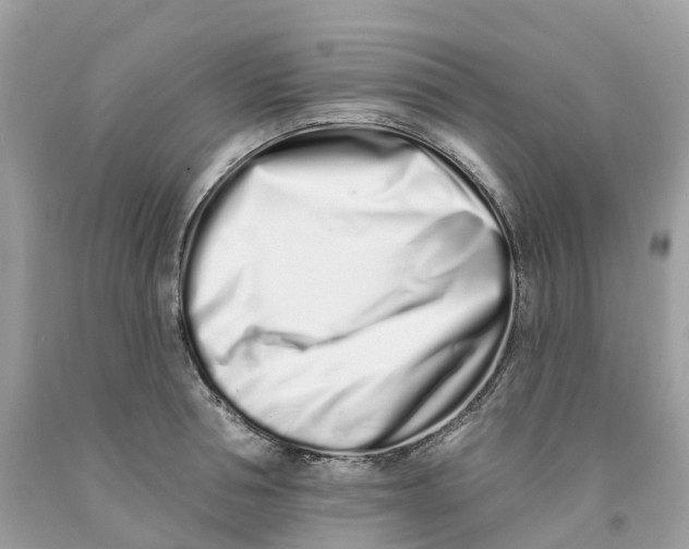 X0000091560994200709141532