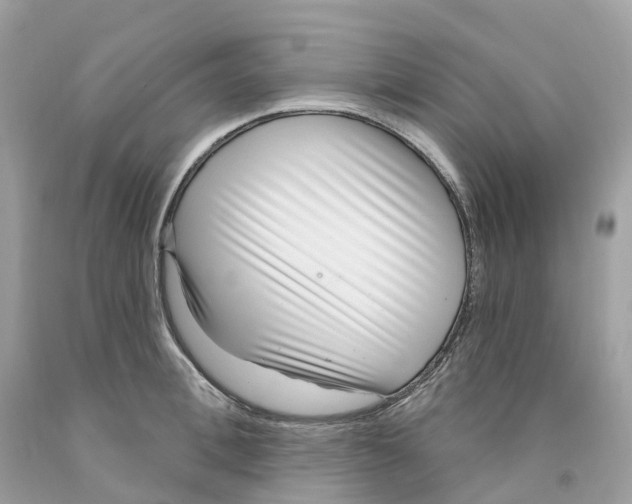 X0000091560996200709141532