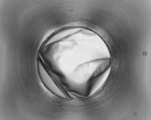 X0000091560998200709141532