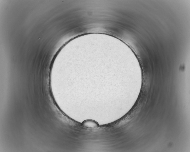 X0000091561000200709141532