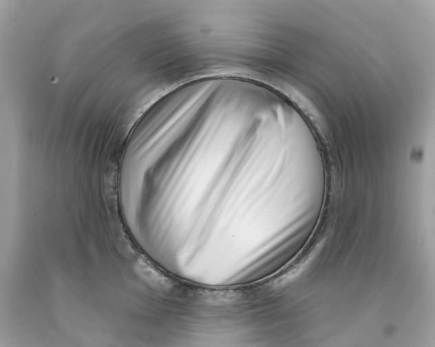 X0000091561001200709141532