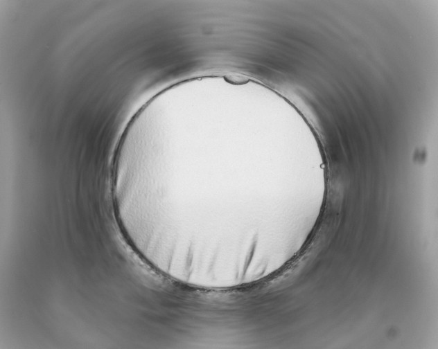 X0000091561004200709141532