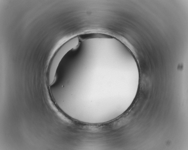 X0000091561005200709141532