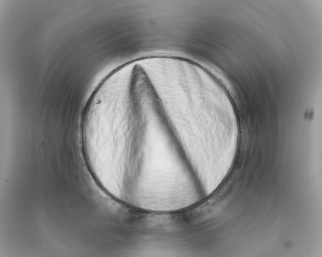 X0000091561006200709141532