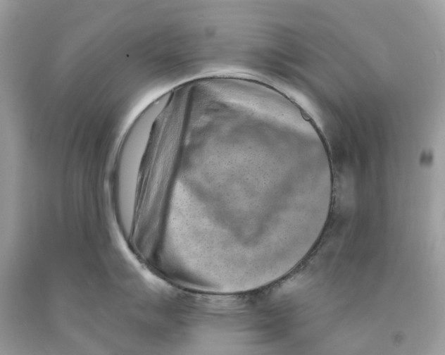 X0000091561007200709141532